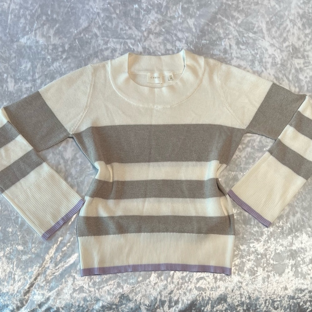 Cyrus Cream and Gray Striped Sweater with Purple Accents 🎀